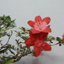 홍의인농장 이미지