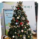 꿈바당도서관 | 제주 어린이 도서관 꿈바당 도서관 방문 후기