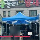 둘리명품새우