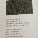 구름이 머무는곳 이미지