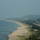 삼척해수욕장A 이미지