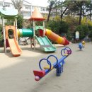 동아목련 이미지