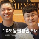 스핑크스의 숲 이미지