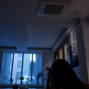 바른몸체형요가 1 | 1.5년차 요기니가 남기는 삼성동요가 '젠플로우 요가&amp;필라테스' 솔직후기 (빈야사플로우)