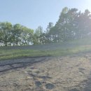 공룡 발자국화석지 이미지