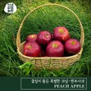 삼정농원 이미지