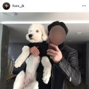 봉자씨 이미지