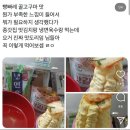 연하네 회랑 고기랑 | [ 충주 ] 서유숙 스테이