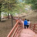 가래골농원 캠핑장 이미지