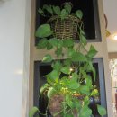 클라라헤어샵 이미지