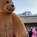 바니베어뮤지엄 이미지