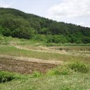 마리농장 이미지