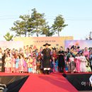 노거수 은행나무 축제의 속삭임 아시아투데이
