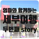탕탕(TANG TANG) | 세부여행) 짧지만 알찬 2박4일(1.5박2일) 세부여행 2번째 - 졸리비(Jollibee), 애플턴호텔 조식, SM마트...