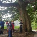 서후초등학교 대흥분교 이미지