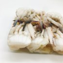 에이치제이상사