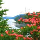 외출준비 이미지