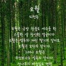 오월의발코니 Daum카페