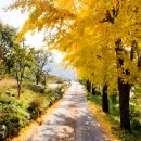 정촌농장 이미지