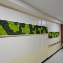 불곡중학교 이미지