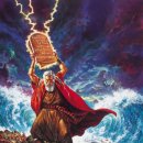 모세휠체어 이미지