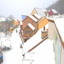 별빛처럼 이미지