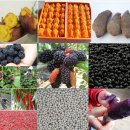 감익는 민하마을 영농조합법인 이미지