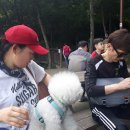 한국체육관 이미지