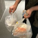 포레스트리솜 | 5월, 6월 국내 여행 추천, 제천 포레스트 리솜 후기