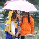 포은초등학교 이미지