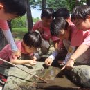 큰별자리어린이집 이미지