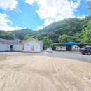 느티나무 민박 이미지