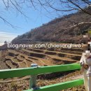 남면로-2 네이버블로그