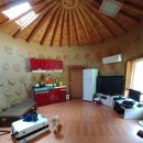 도그마실 이미지