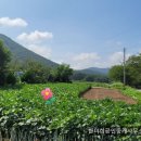 고성부동산중개사무소 이미지