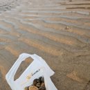 바다와 파도소리 이미지