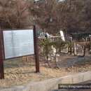 울산 매곡동 생활유적 이미지