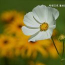 사랑으로방문요양센터 | 중랑구 요양원 찾는다면 사랑으로 돌보는 요양센터 전문적인 돌봄 서비스