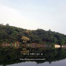 도하저수지 이미지