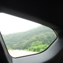 더 스트림 이미지