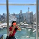 P-5I01 | 시드니 l 5성급 호텔 I 소피텔 시드니 달링 하버 I 럭셔리 코너룸 달링하버뷰