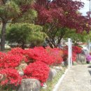 덕곡면사무소 이미지