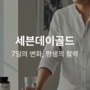데이세븐