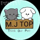 문정탑 동물병원 이미지