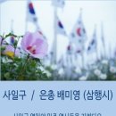사일구 이미지