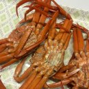 광성홍게장군 이미지