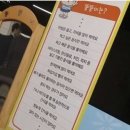 어느 때보다 포근했던 12월