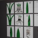 제주한란전시관 이미지