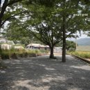 충주 반딧불 오토 캠핑장 이미지