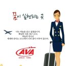 (주)아스타아이비에스